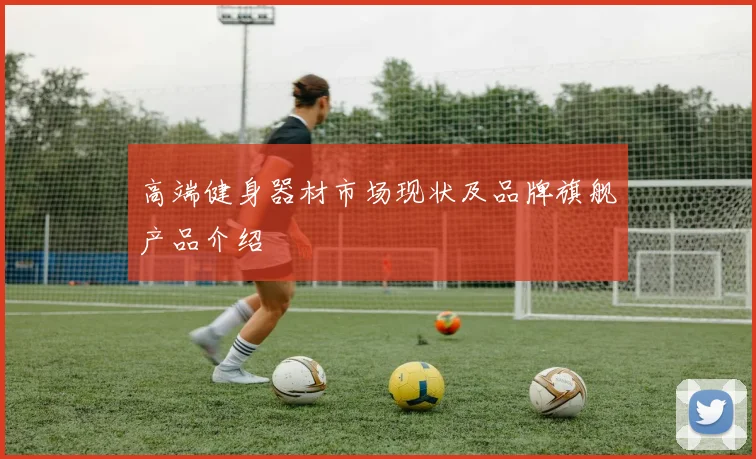 高端健身器材市场现状及品牌旗舰产品介绍