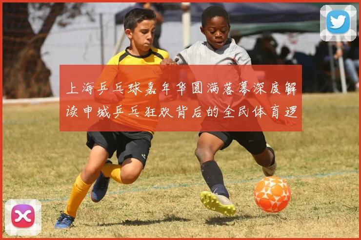 上海乒乓球嘉年华圆满落幕深度解读申城乒乓狂欢背后的全民体育逻辑