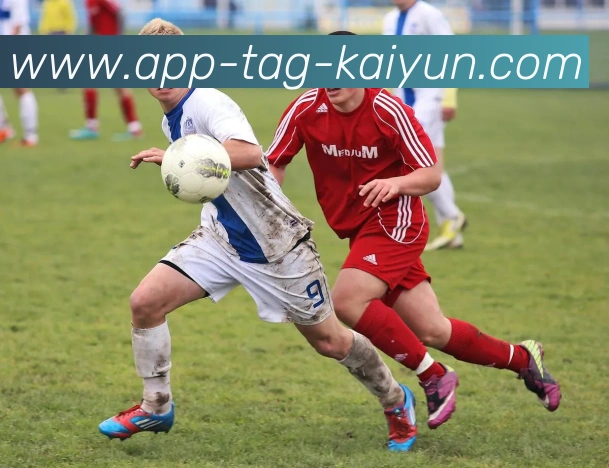 开云APP平台生态图